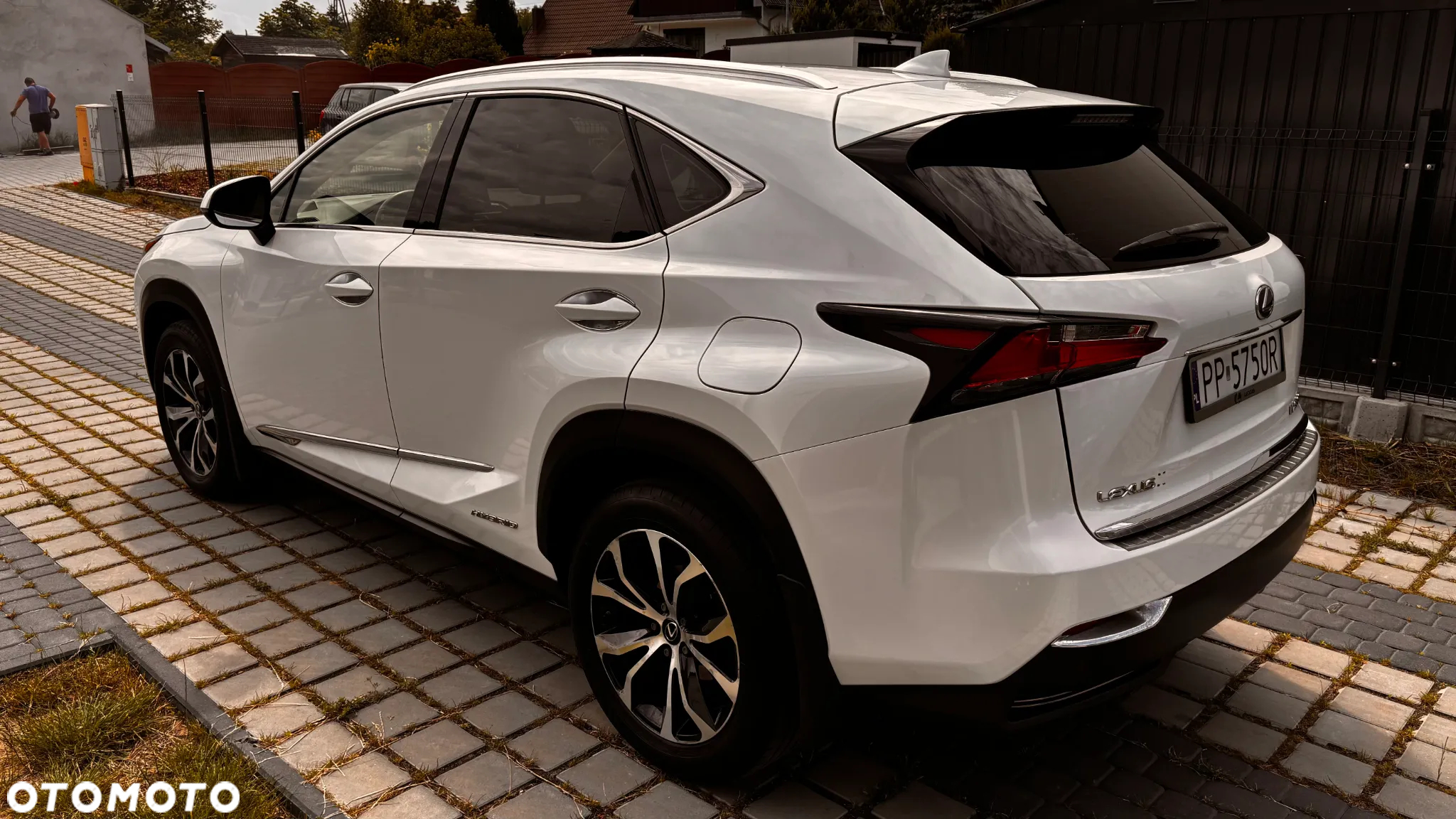 Lexus NX 300h Elite AWD - 6