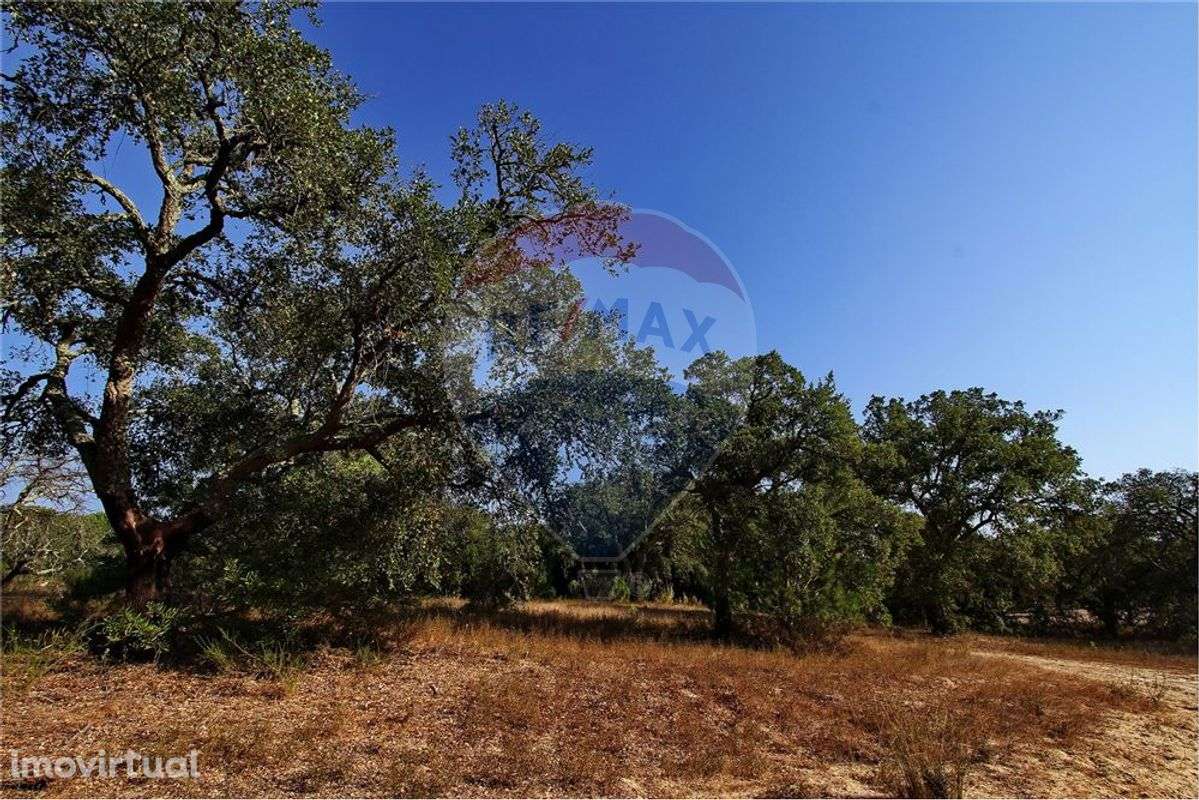 Terreno  para venda - Grande imagem: 3/9