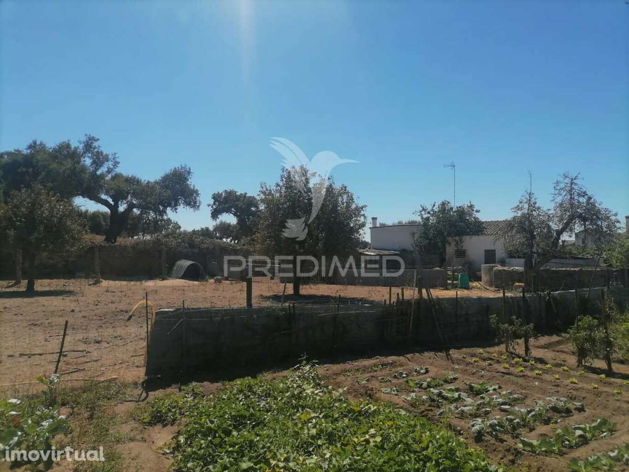 Terreno - Grande imagem: 3/6