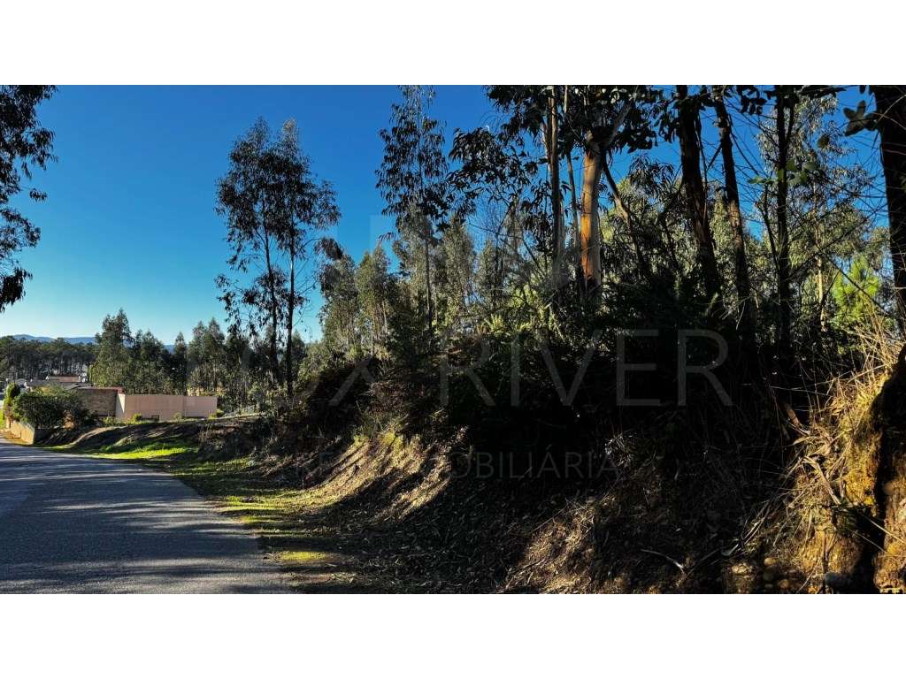 Terreno para construção - Gandra, Valença - Grande imagem: 3/7
