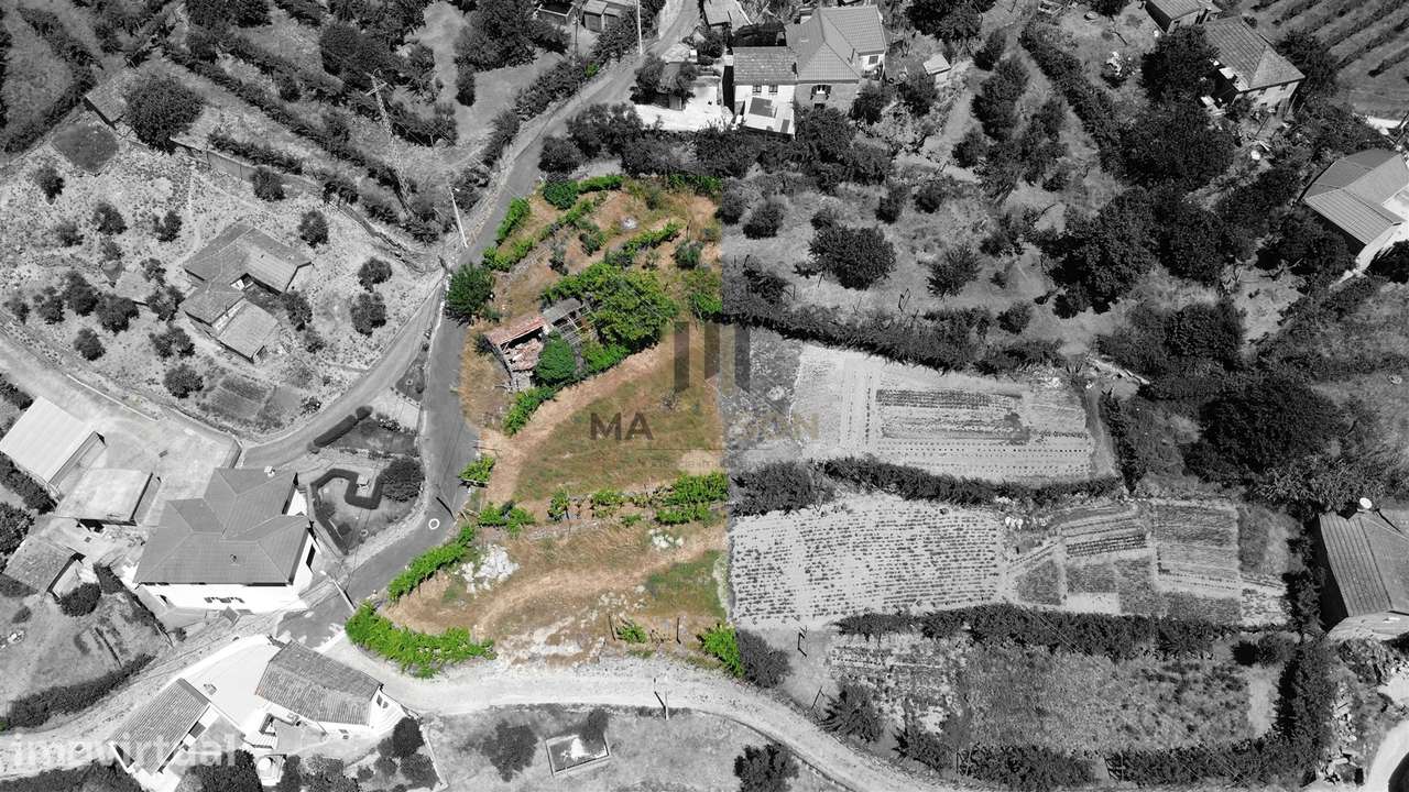 1350 M2 | VISTAS DOURO | C/ RUINA - Grande imagem: 4/9