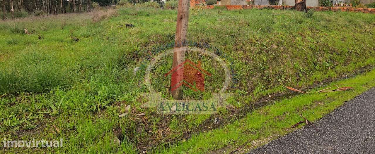 TERRENO PARA MORADIA ISOLADA - Grande imagem: 4/4