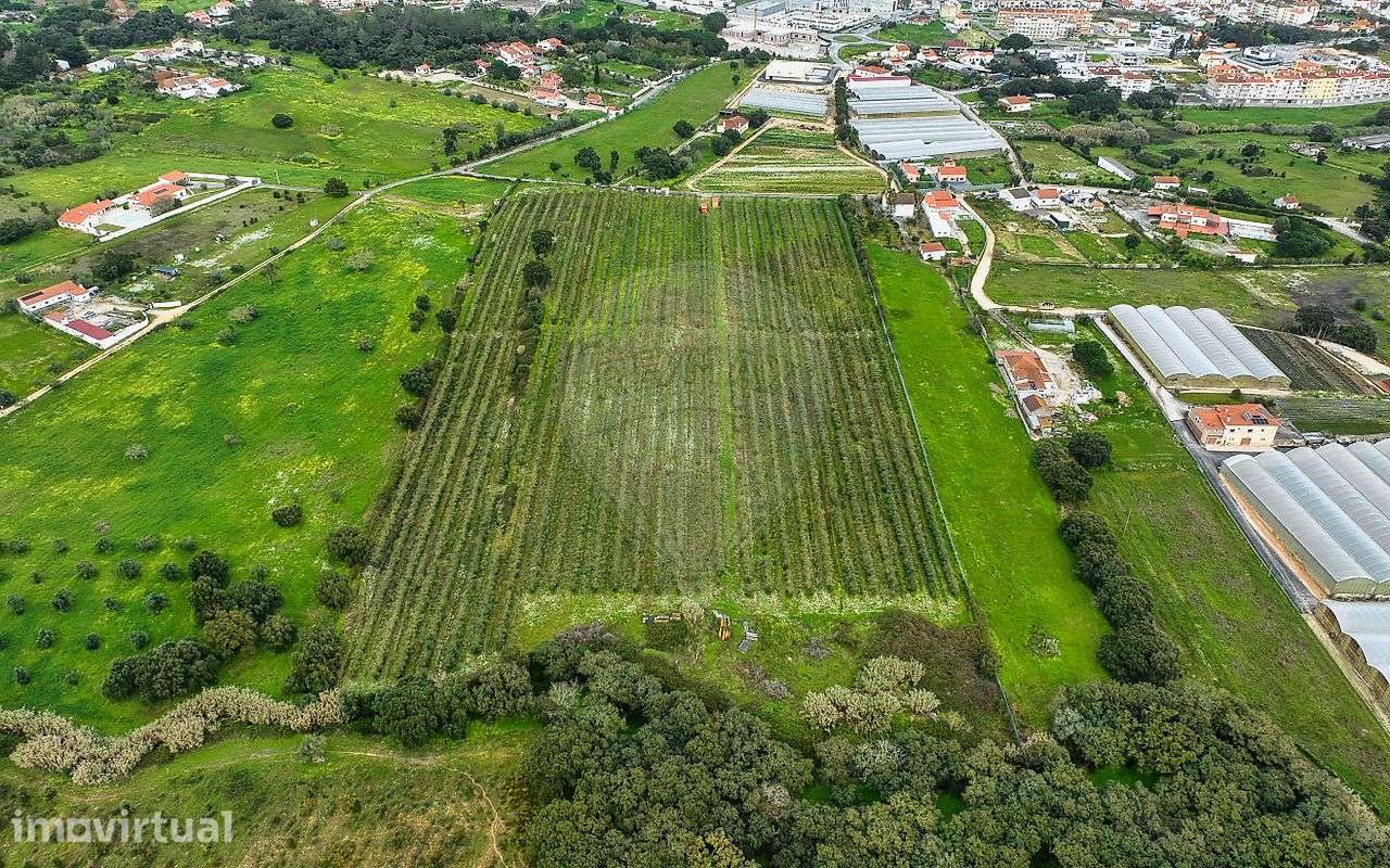 Terreno  para venda - Grande imagem: 3/31