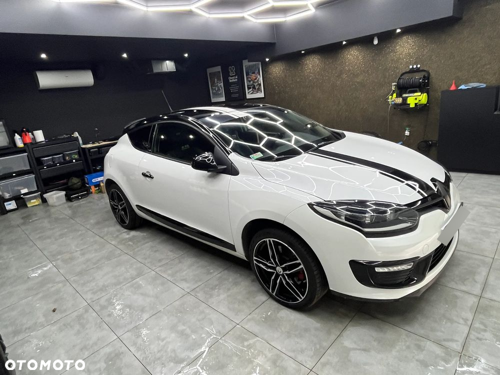 Renault Megane 220 GT - 18
