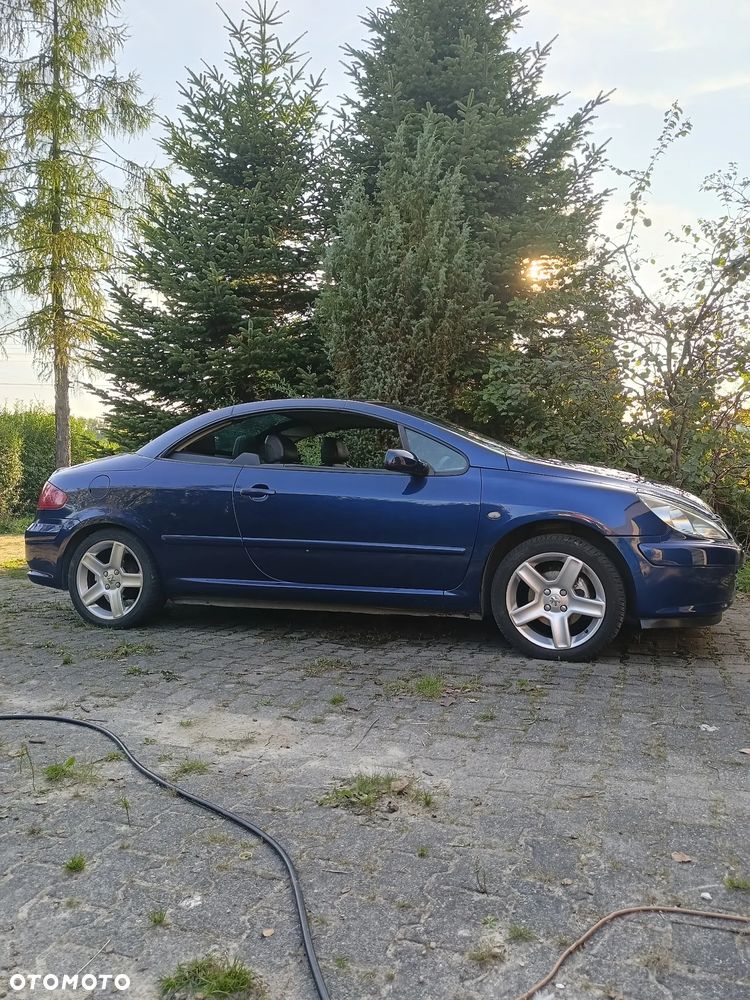 Peugeot 307 CC - 3