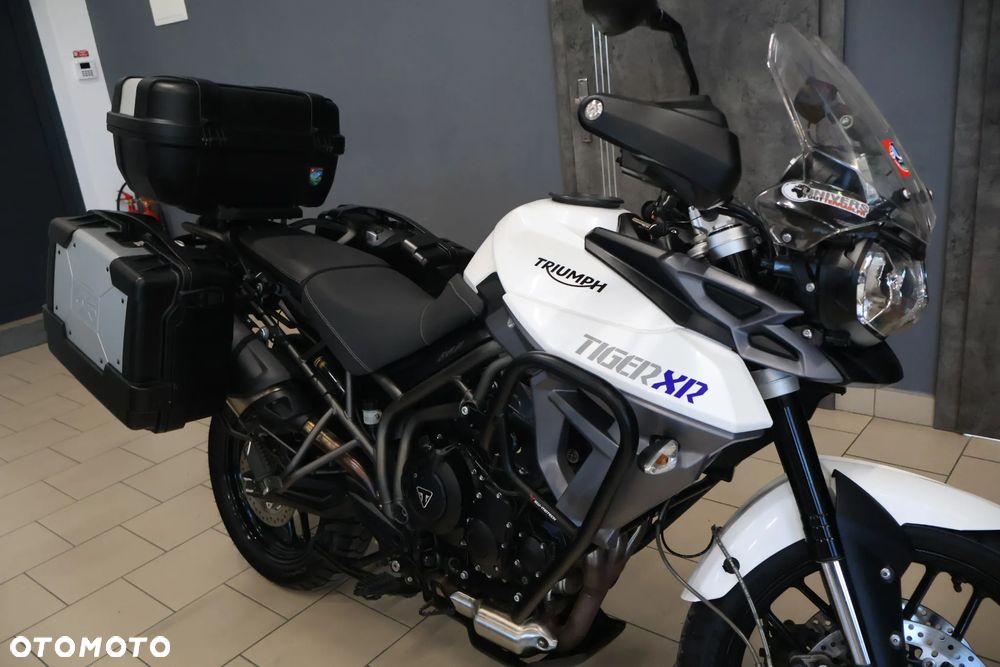 Triumph Tiger - 16