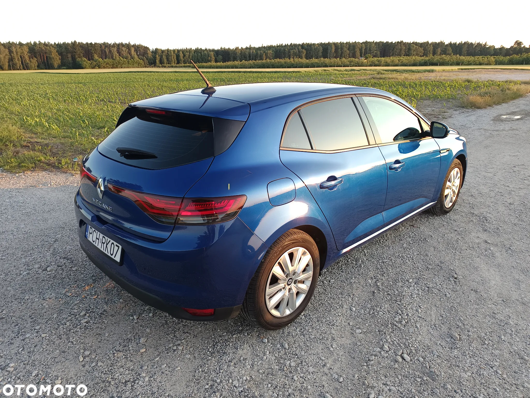Renault Megane - 29