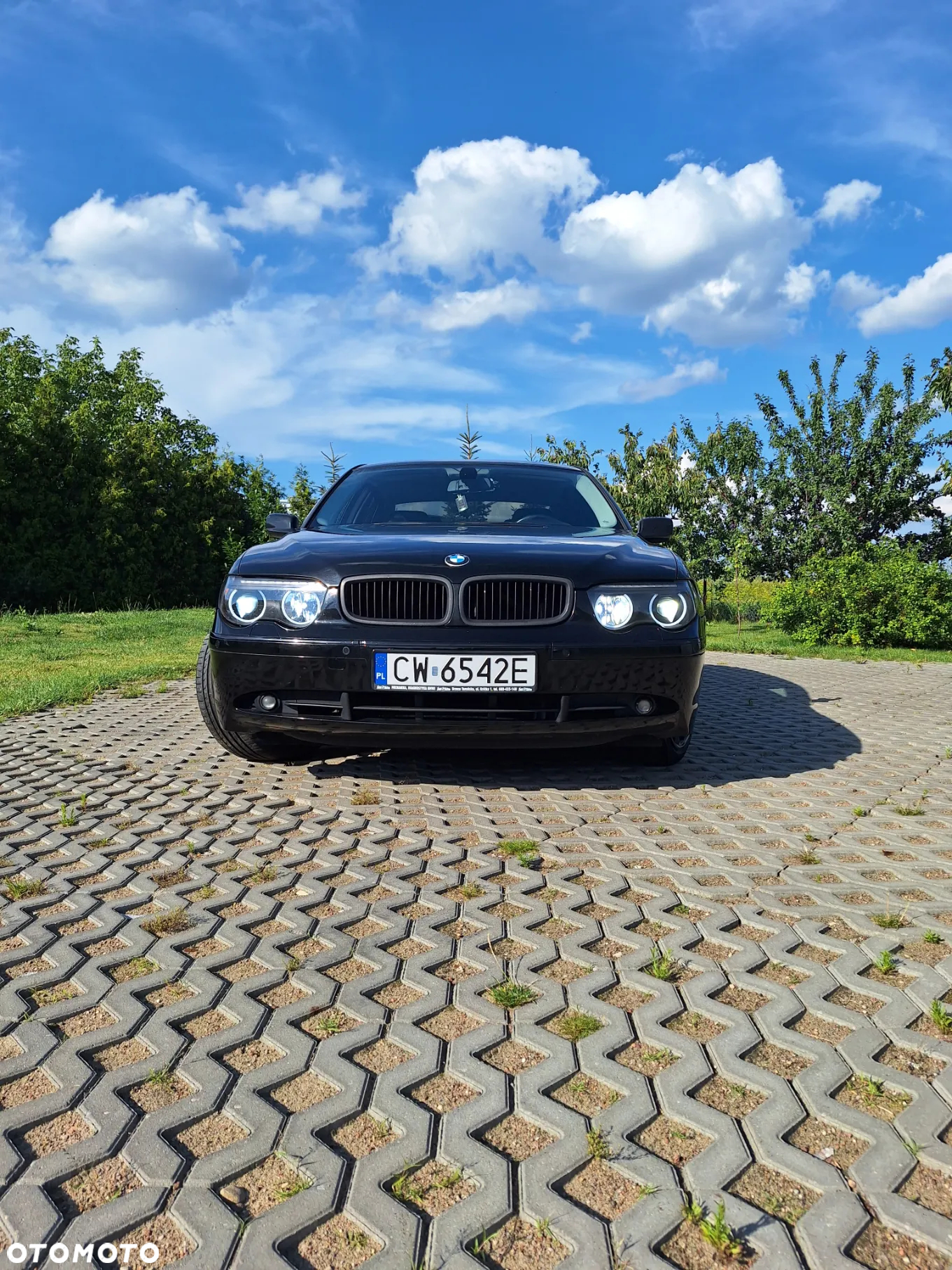 BMW Seria 7 745i L - 19