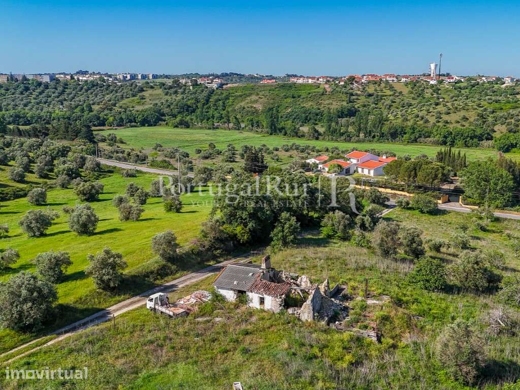 Quinta de 8 hectares com construção para recuperar, Torres Novas - Grande imagem: 2/35