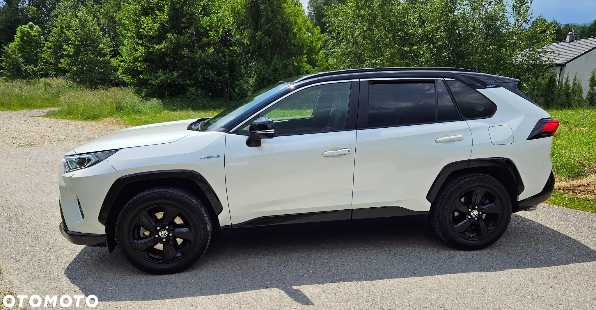 Toyota RAV4 2.5 Hybrid Selection 4x2 - 2