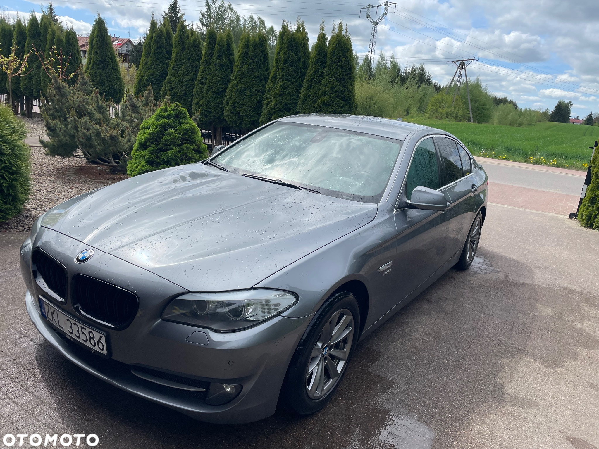 BMW Seria 5 530d xDrive - 2
