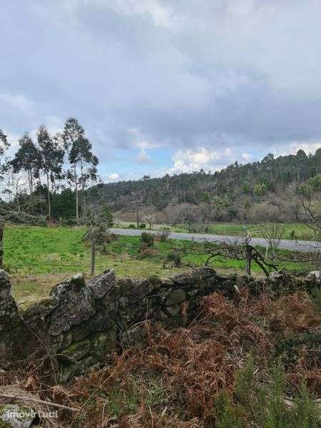 Quinta Agrícola a 5 minutos da A25 - Grande imagem: 3/8