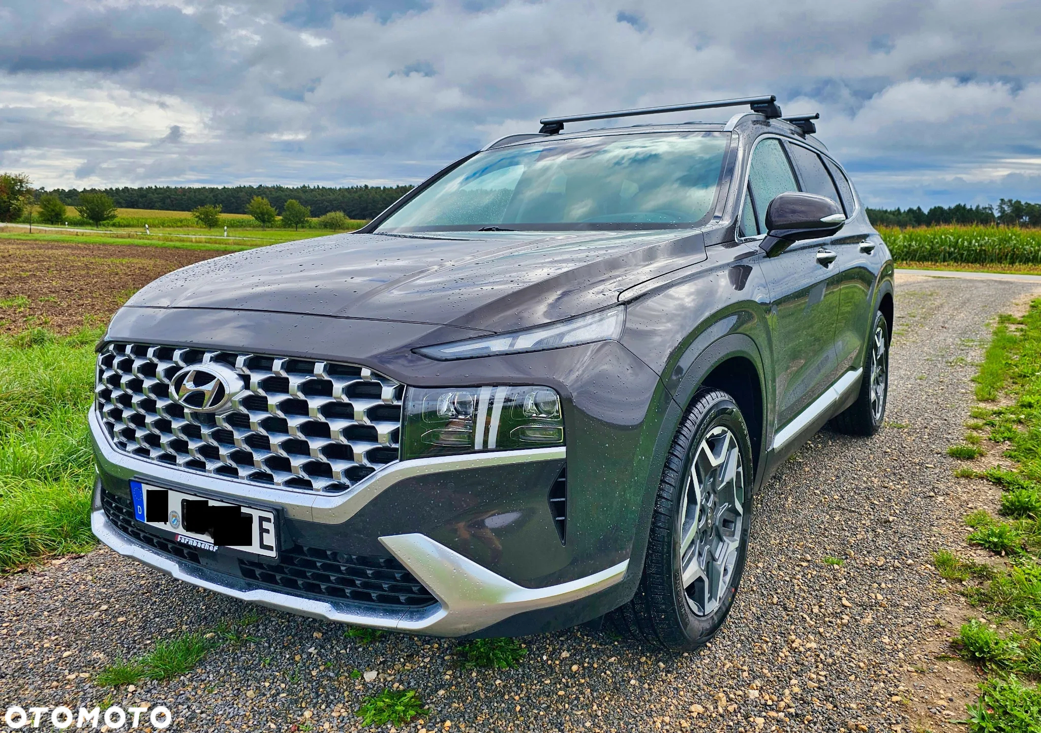 Hyundai Santa Fe 1.6 T-GDI PHEV Executive 4WD - 5