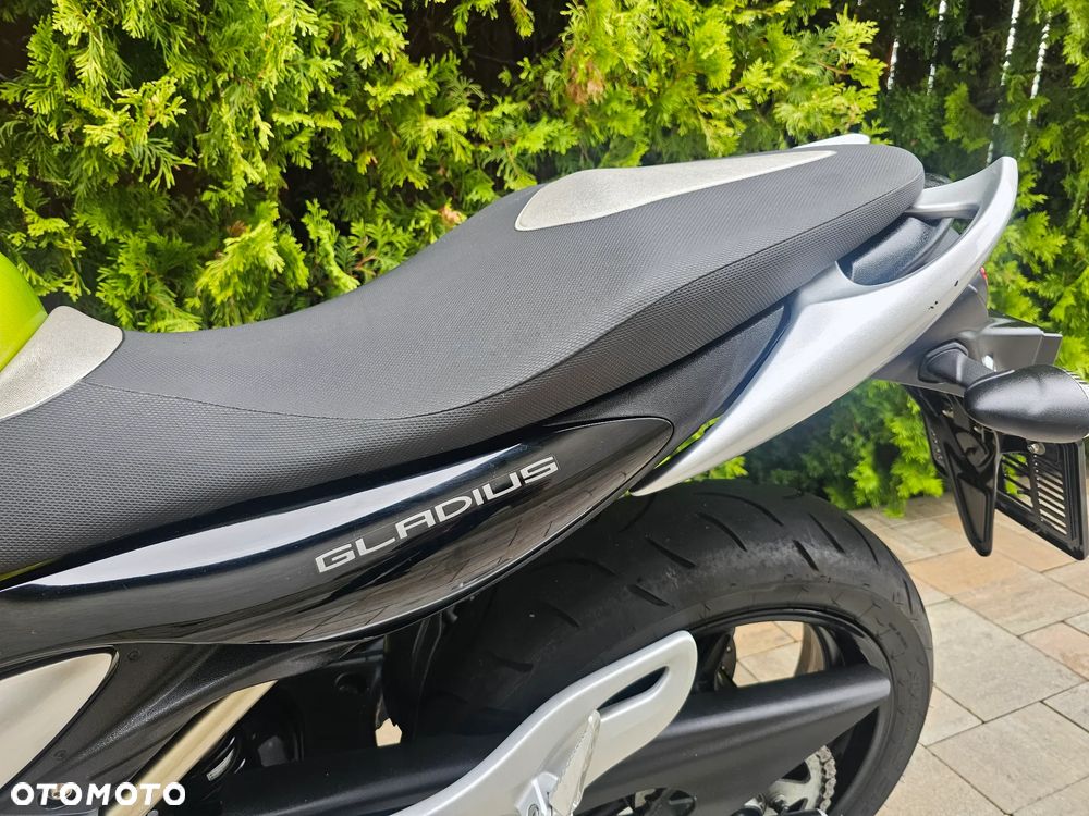 Suzuki Gladius - 15