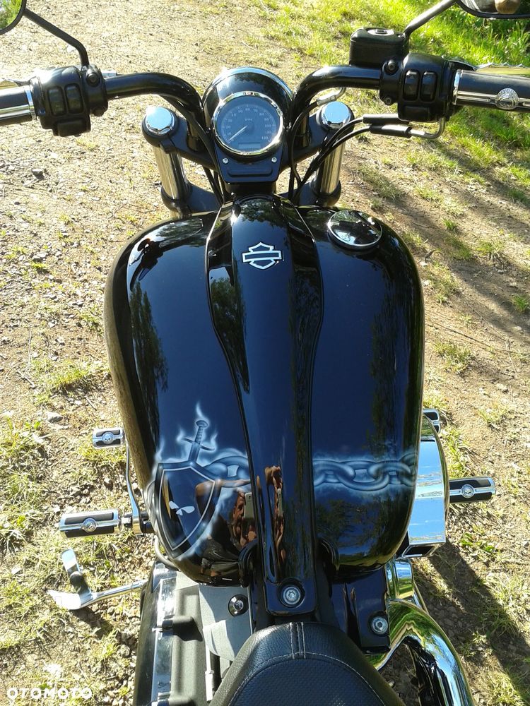 Harley-Davidson Softail Blackline - 12