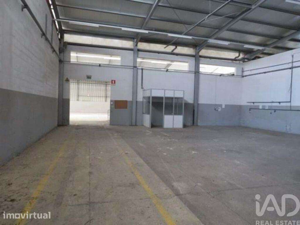 Hangar em Muge de 5460,00 m2 - Grande imagem: 5/19