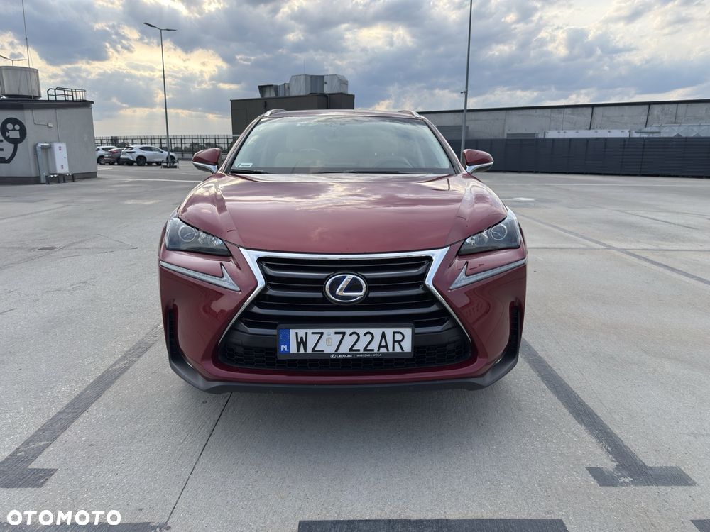 Lexus NX 300h Comfort AWD - 3