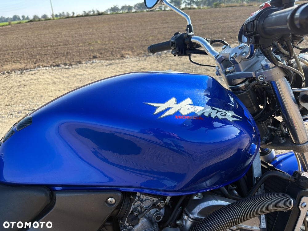 Honda Hornet - 12