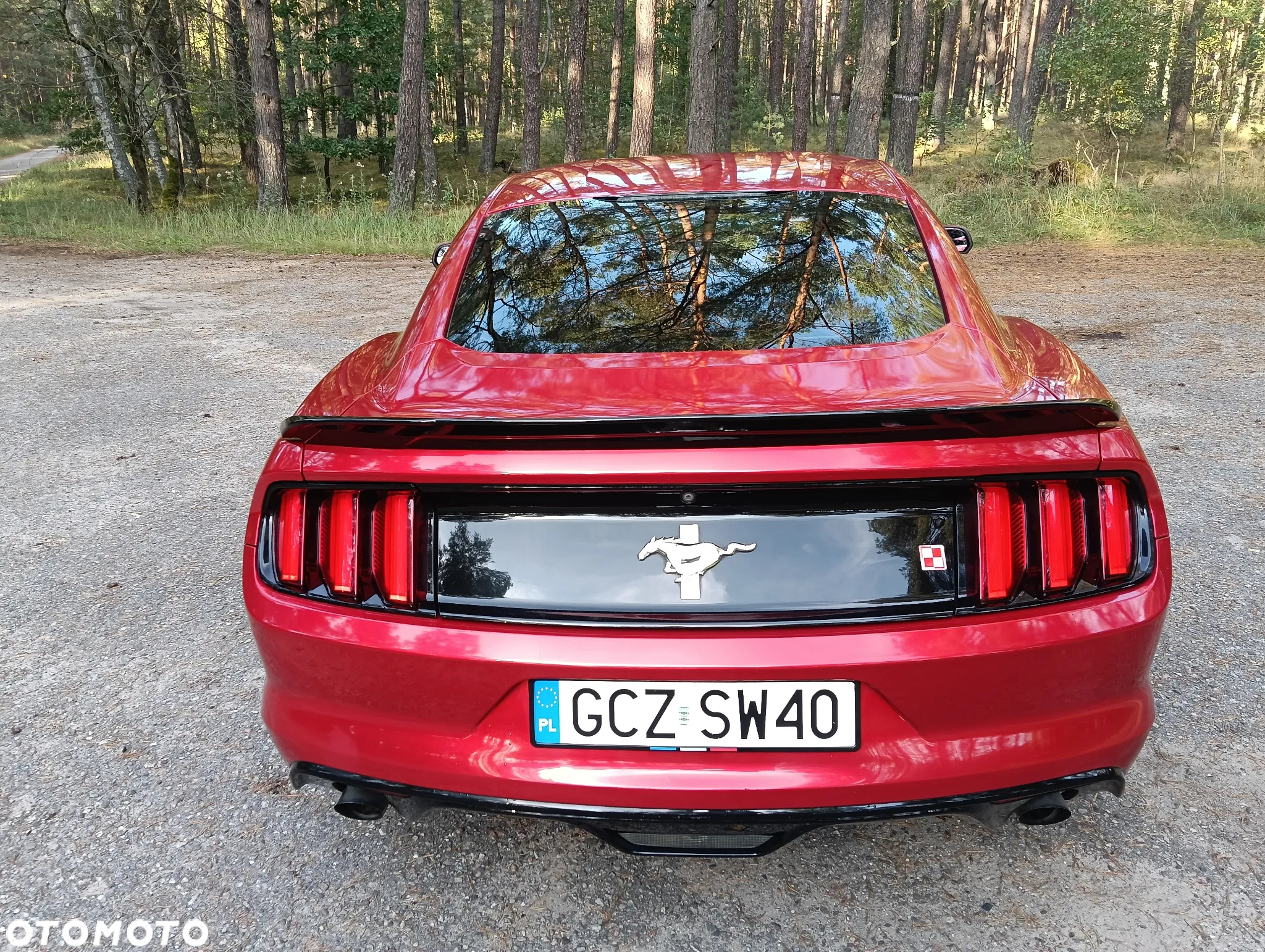 Ford Mustang - 5