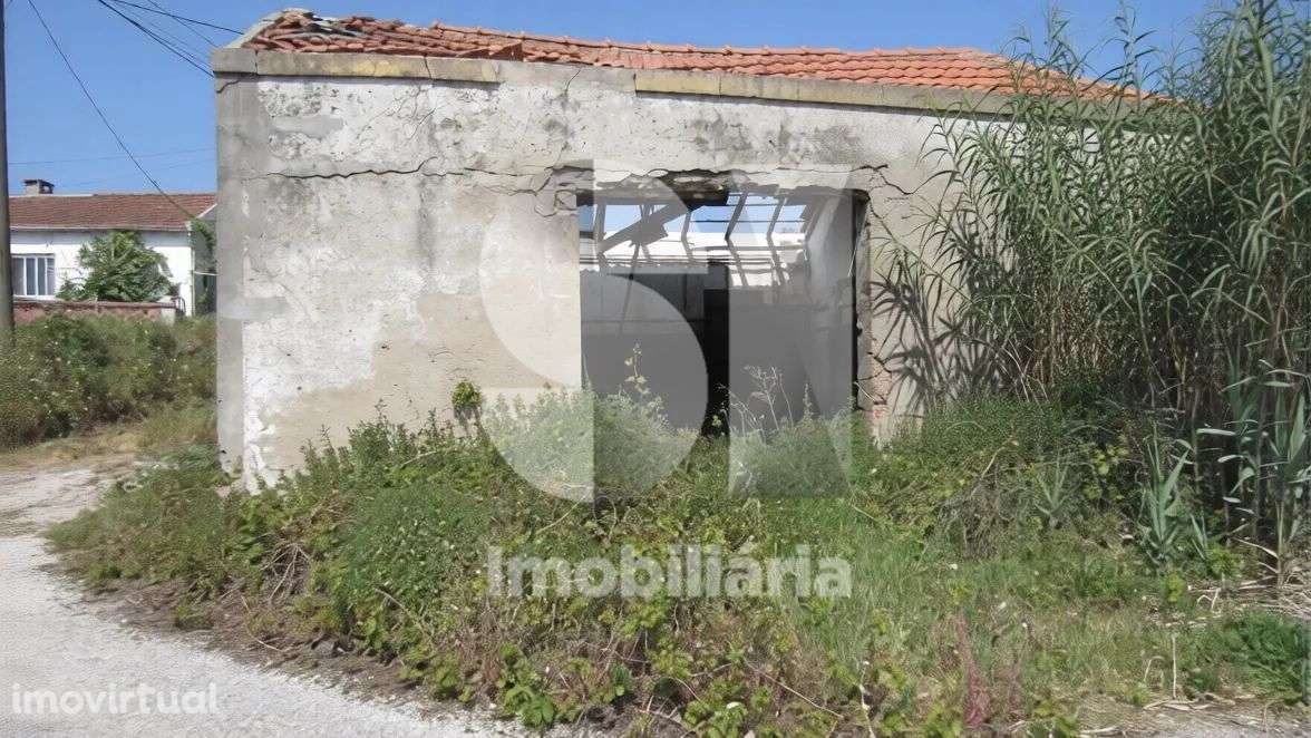 Armazém - Carritos - Grande imagem: 2/2