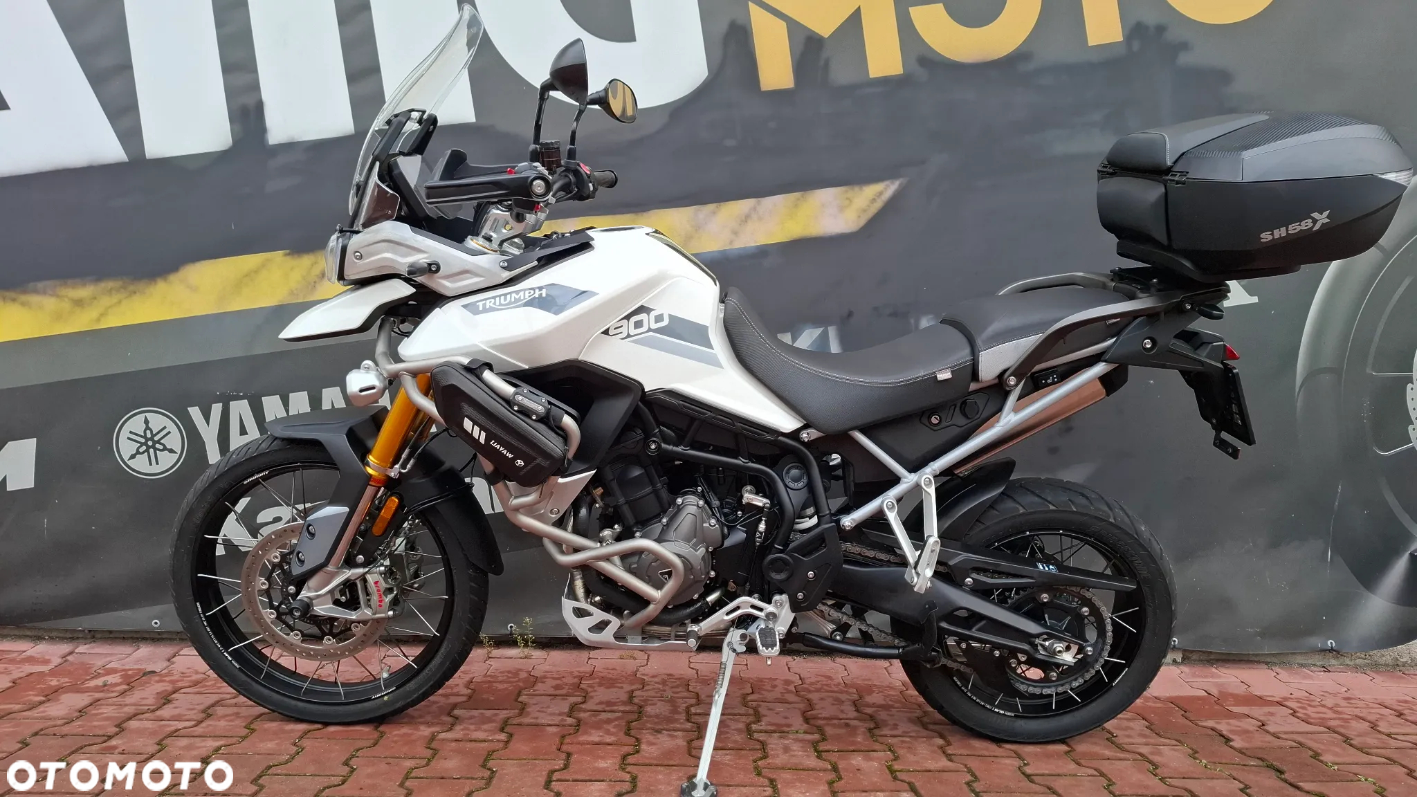 Triumph Tiger - 2