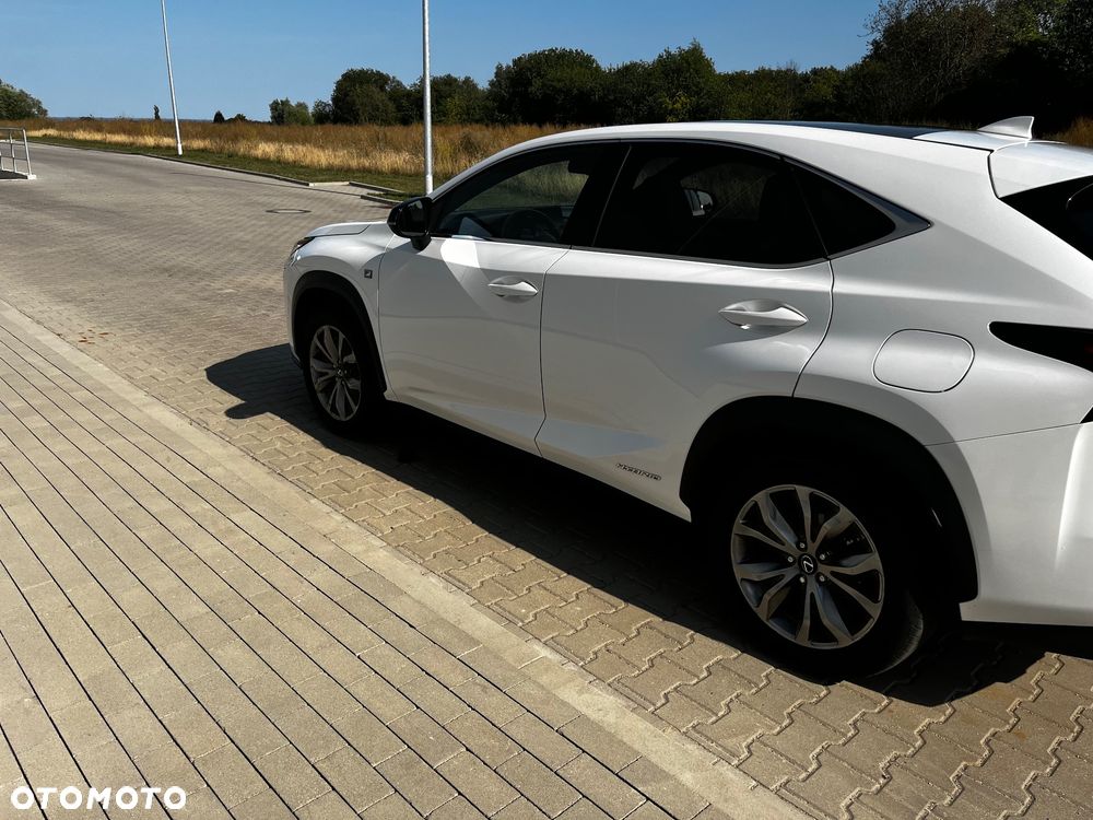 Lexus NX 300h F Sport AWD - 9