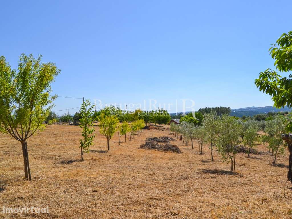 Terreno para cultivo com anexo, nos Montes da Senhora - Grande imagem: 2/15