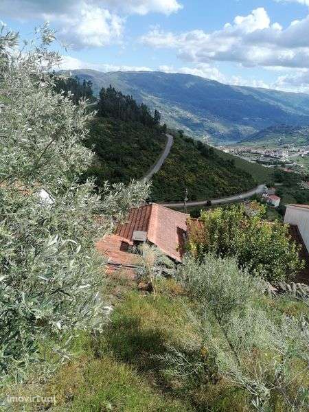 Casinha para reconstrução, às portas do Douro - Grande imagem: 3/12