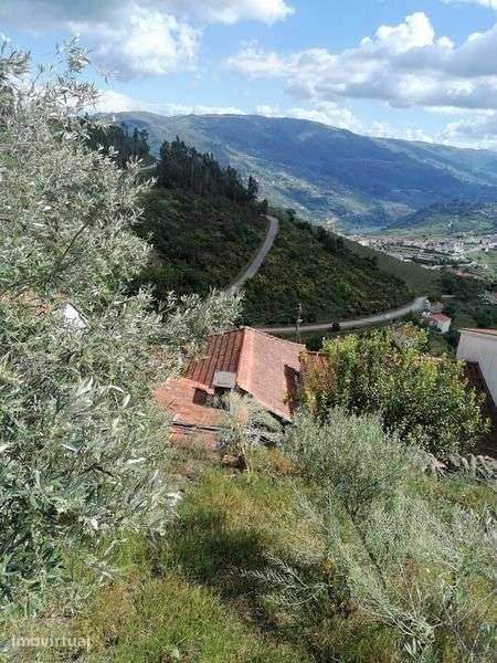 Casinha para reconstrução, às portas do Douro - Grande imagem: 3/12