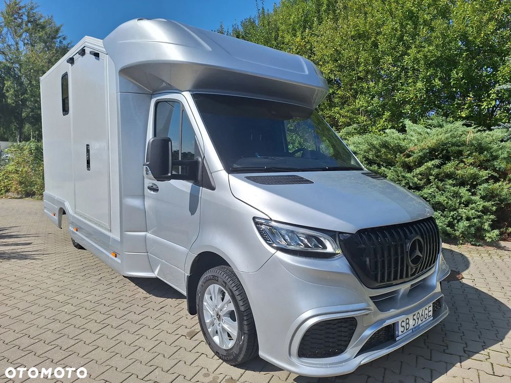 Mercedes-Benz Sprinter 319 - 6