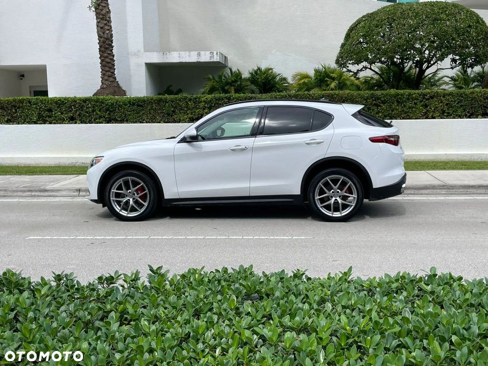 Alfa Romeo Stelvio 2.0 Turbo 16V AT8-Q4 Super - 6