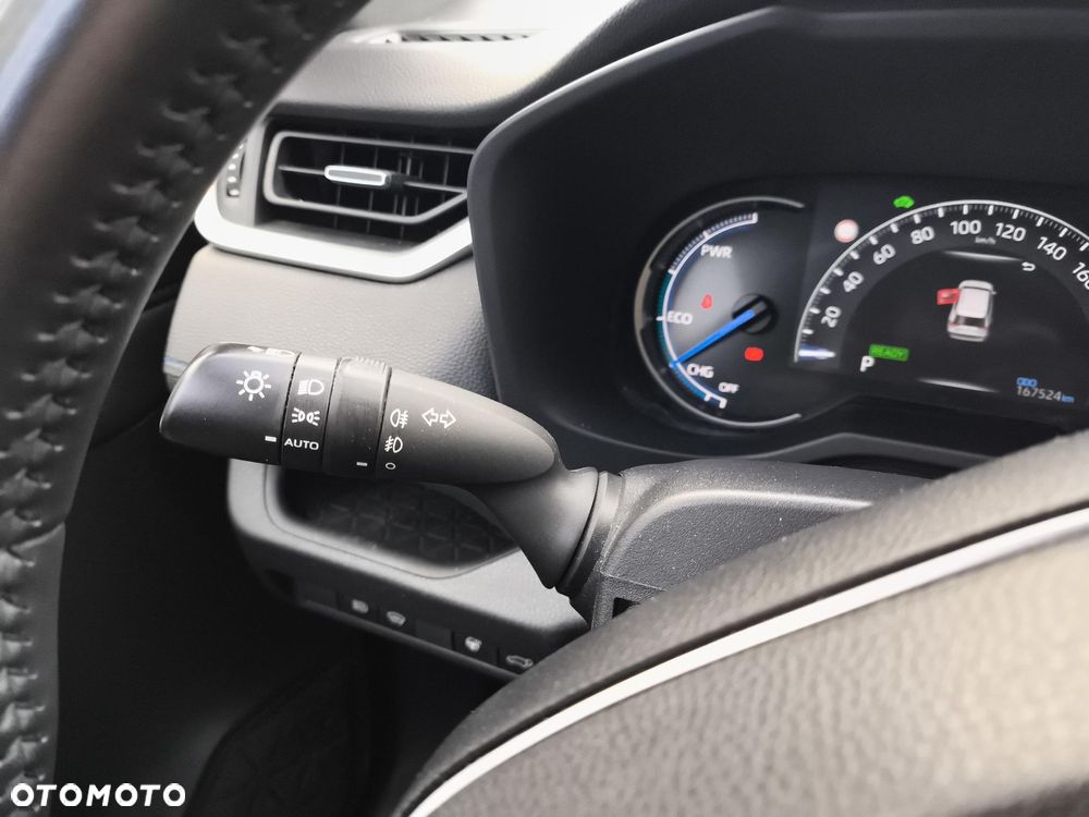 Toyota RAV4 2.5 Hybrid Selection 4x4 - 21