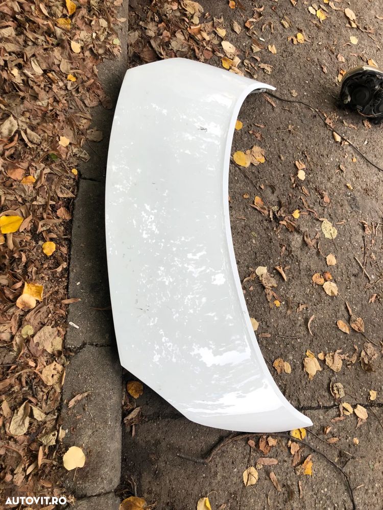 Capota fata motor Renault Scenic alb 2005 - 6