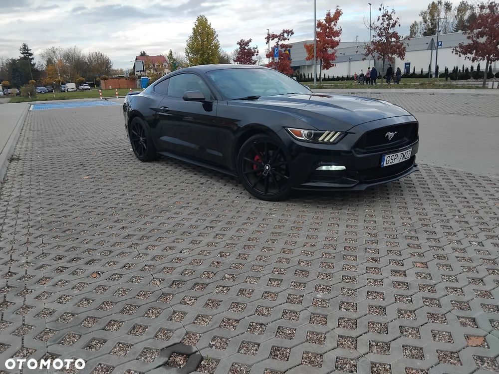 Ford Mustang - 9