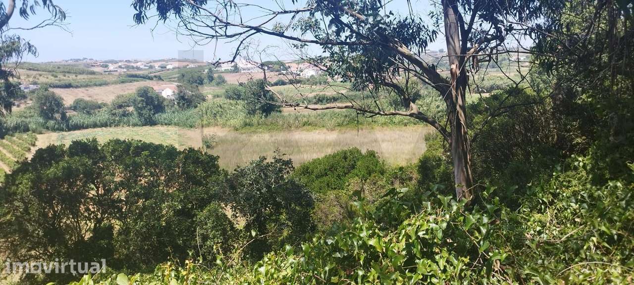 Terreno Agrícola para Venda em São Lourenço, Ribamar, 5.437m2- 22.500€ - Grande imagem: 3/18