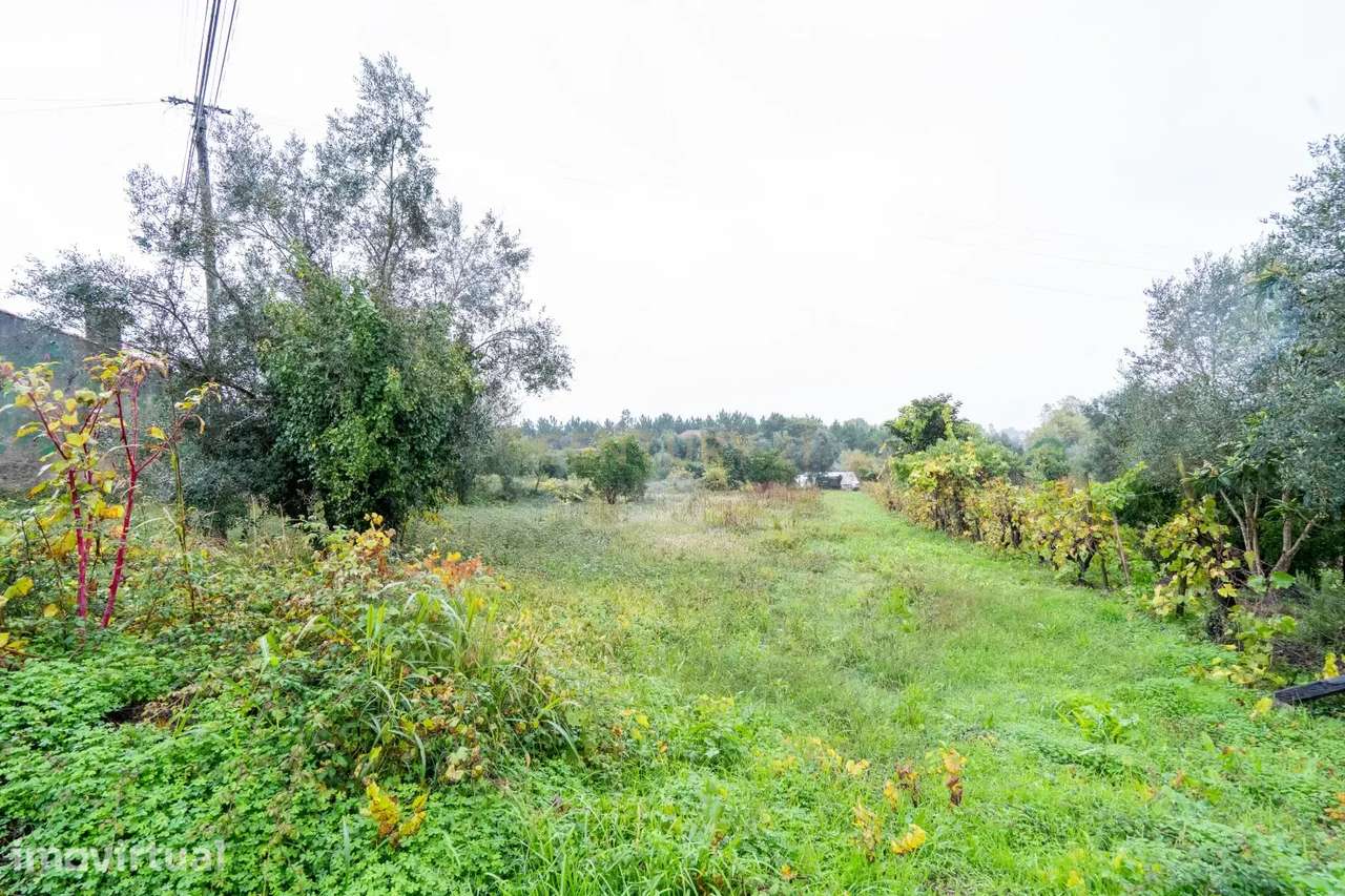 Terreno urbano, 1.344m² Pinheiro- Vila Nova de Poiares - Grande imagem: 3/15