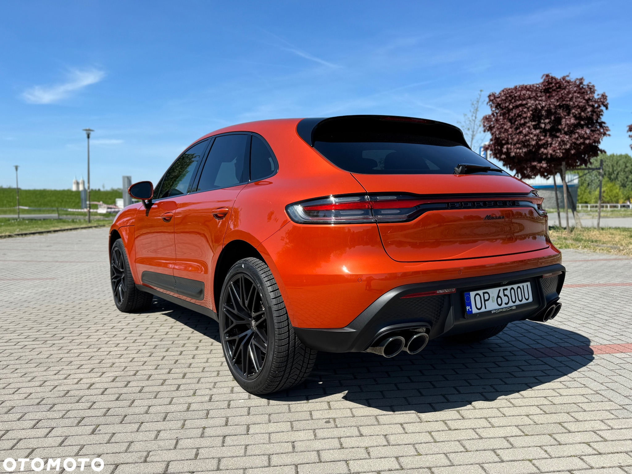Porsche Macan Standard - 10