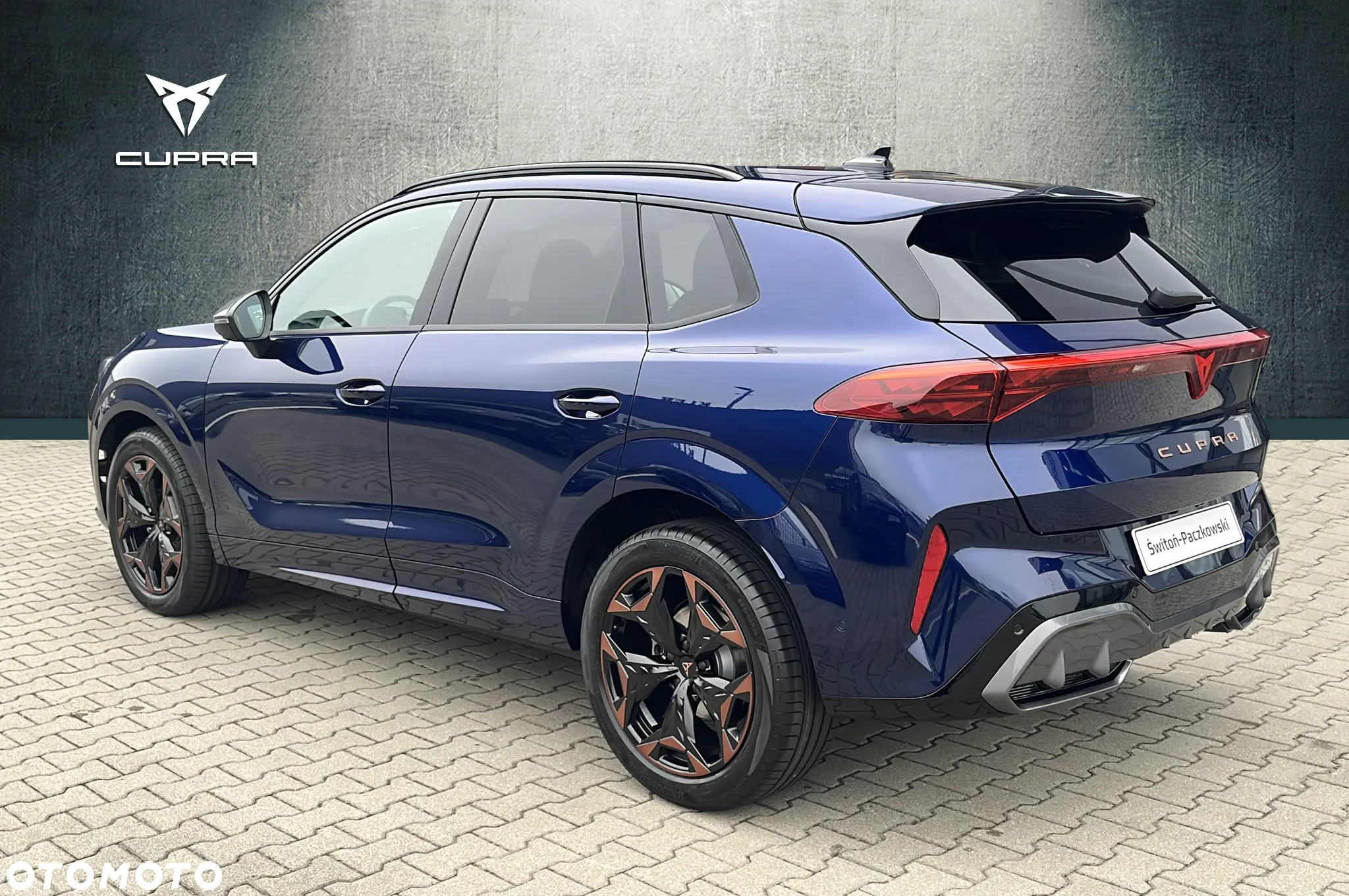 Cupra Terramar 2.0 TSI 4Drive DSG - 3
