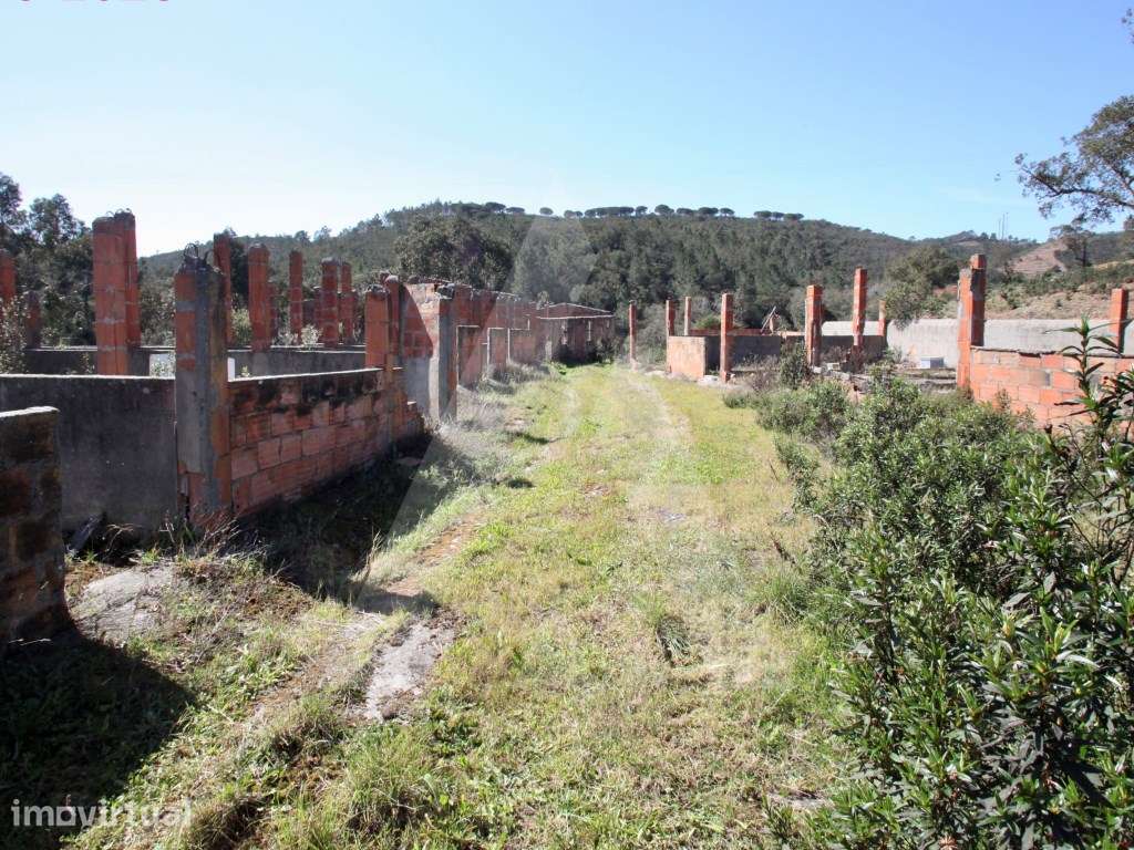 TERRENO 38HA MISTO COM TRES RUINAS EM 24 DIVISOES - Grande imagem: 5/30