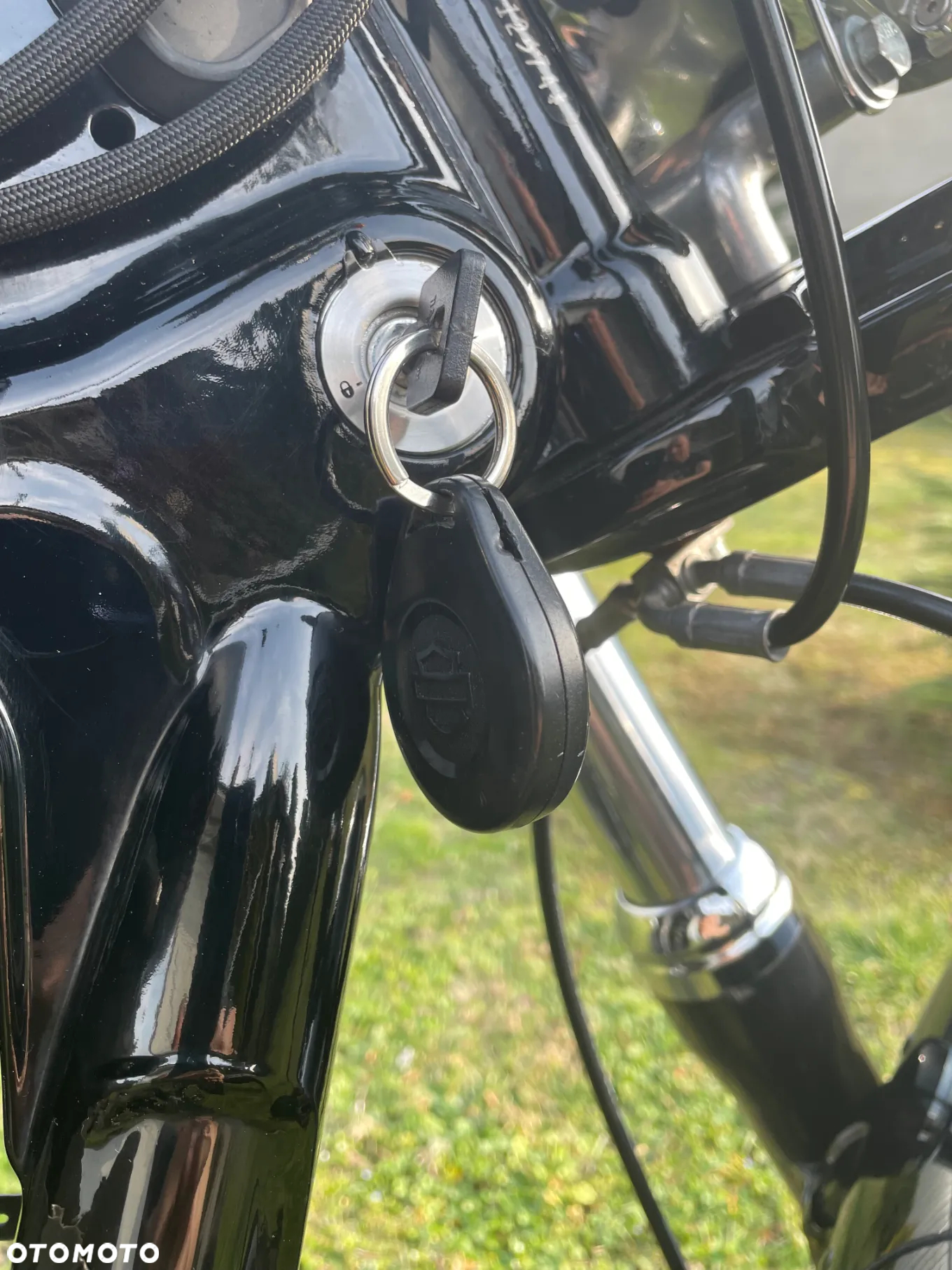 Harley-Davidson Dyna Fat Bob - 22