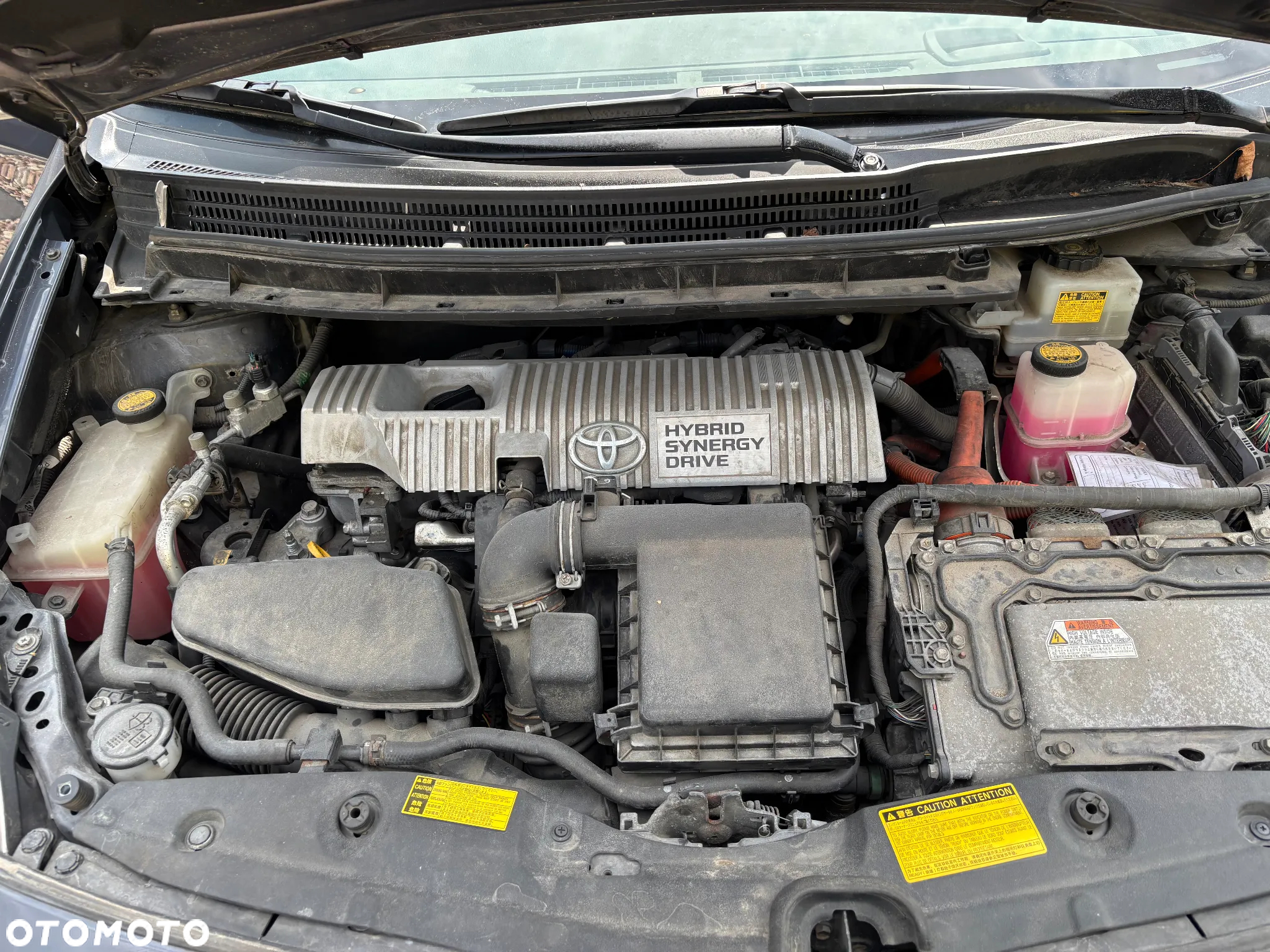 Toyota Prius (Hybrid) Executive - 39