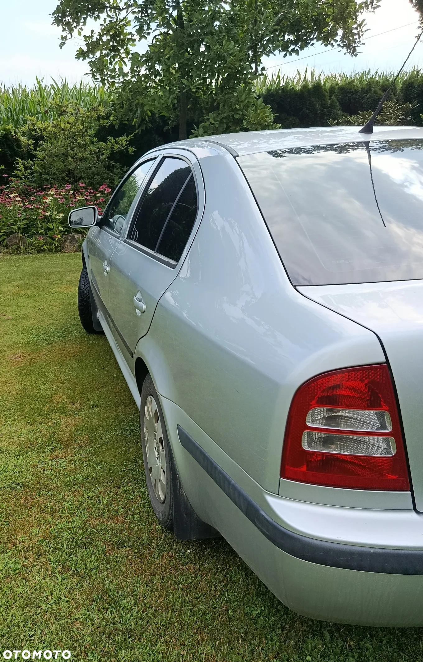 Skoda Octavia - 8