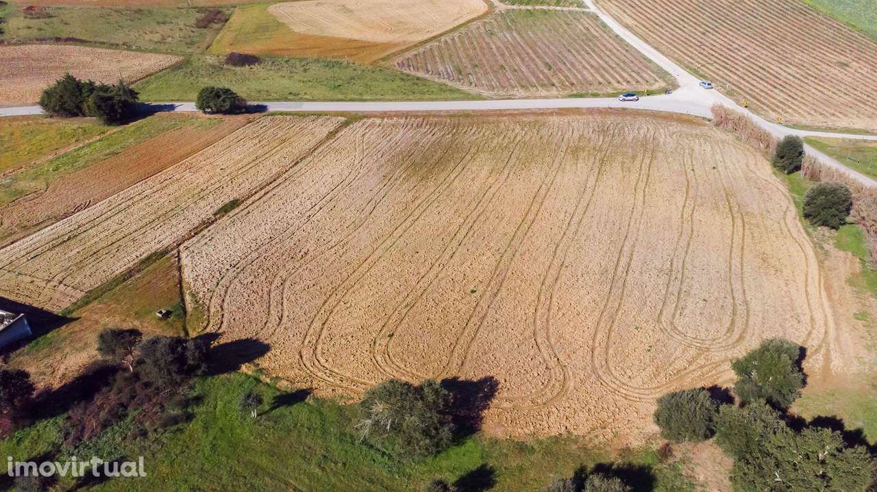 TERRENO COM 12.320M2 PARA CONSTRUÇÃO DE MORADIA - Grande imagem: 4/11
