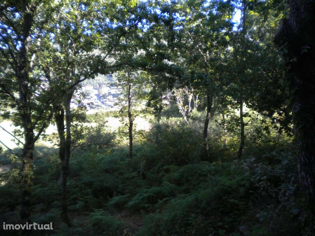 Terreno em Labrujó - Grande imagem: 2/6