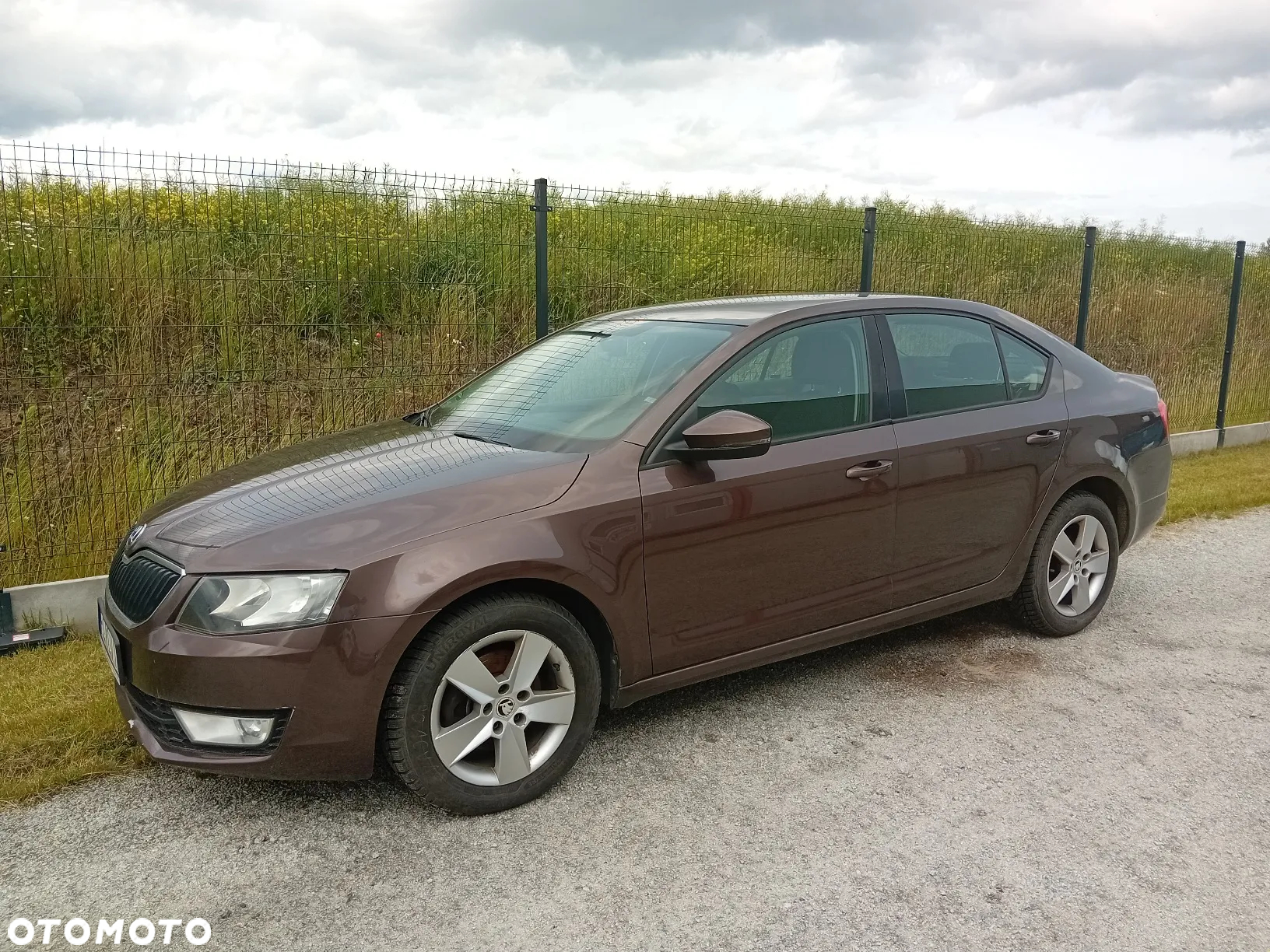 Skoda Octavia 2.0 TDI Ambition - 12
