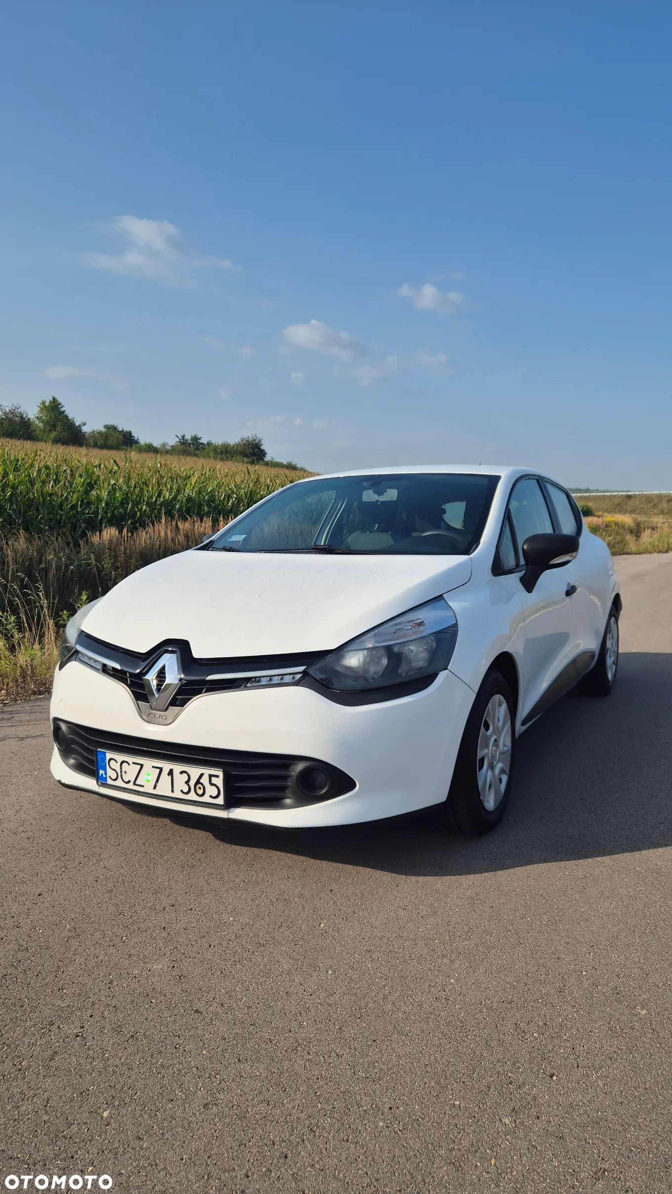 Renault Clio - 1