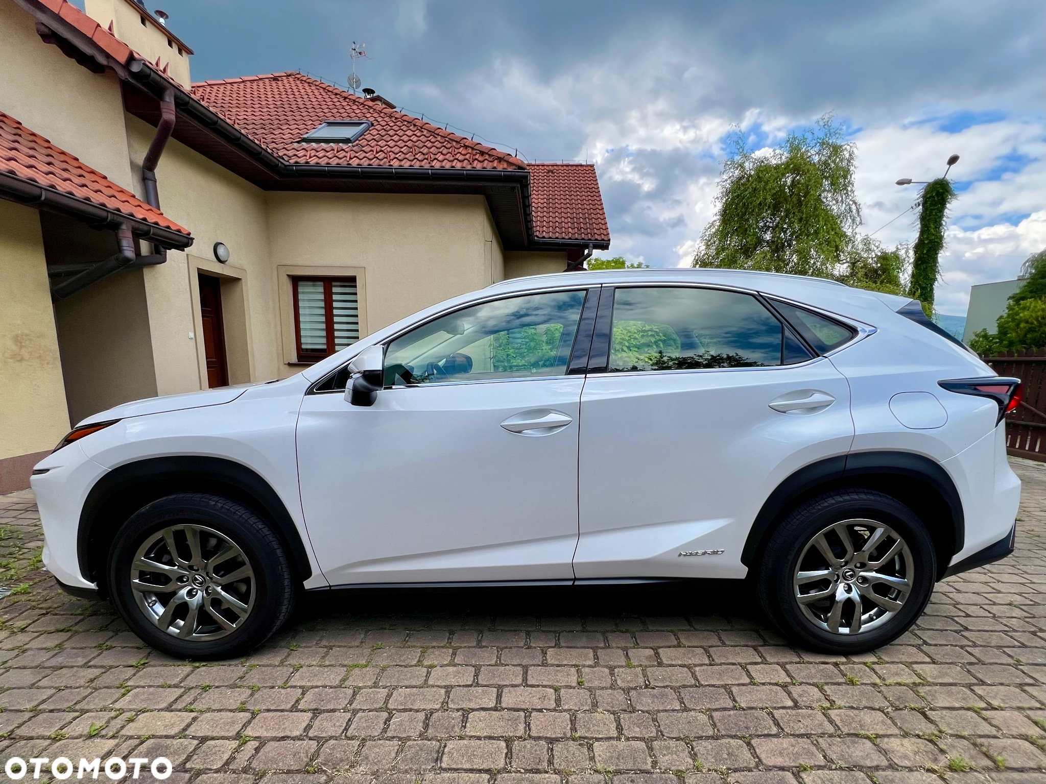Lexus NX 300h Elegance + Business AWD - 6