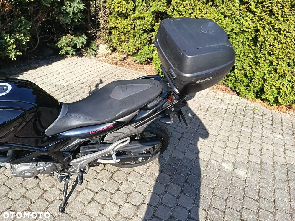 Suzuki Gladius - 7