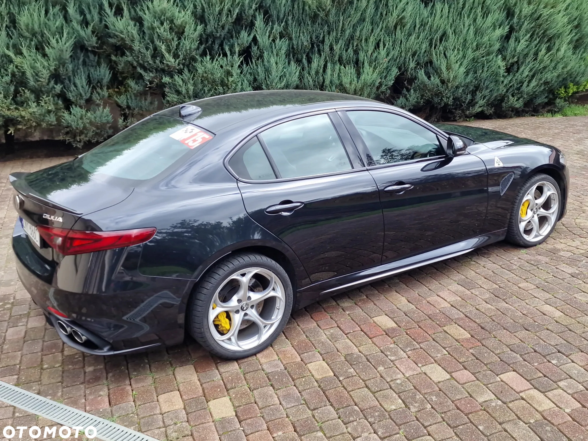 Alfa Romeo Giulia 2.9 V6 Bi-Turbo AT8 Quadrifoglio - 13