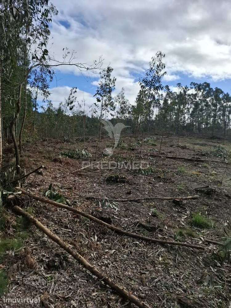 Terreno  para construçao de para Moradia de 4 Frentes - Grande imagem: 3/17